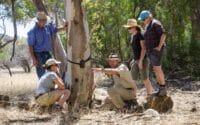 Arkaba_Flinders-Ranges_Conservation-Group