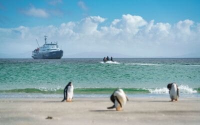 Falklands, South Georgia, Ant Peninsula © Fotografie Dietmar Denger-Oceanwide Expeditions37.jpg_Dietmar Denger