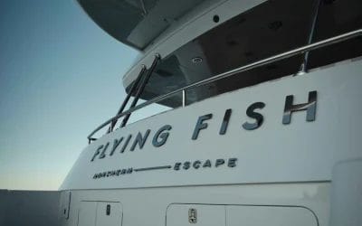 M.Y Flying Fish_Finals_SimonShiff_0 69
