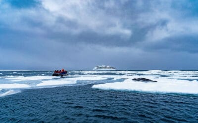 Passengers Zodiac cruise near Leopard Seal, Greg Mortimer; Charlie Brooks Allen