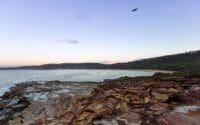 Pretty-Beach-House_Sydney-Surrounds_Bouddi-Coastal-Hike-View