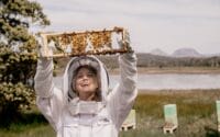 Saffire_Freycinet_Beekeeping13