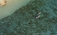 Sal-Salis_Ningaloo-Reef_Aerial-Kayaks