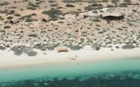 Sal-Salis_Ningaloo-Reef_Aerial-Tents
