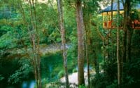 Silky-Oaks-Lodge_The-Daintree_Jungle-Perch