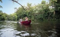 Silky-Oaks-Lodge_The-Daintree_Rainforest-Kayak